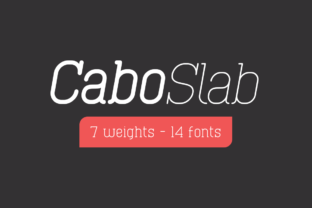 Cabo Slab: A Slab Serif Font That Balances Warmth with Professional Utility