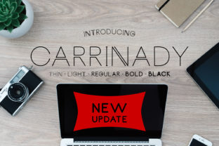 Carrinady: A Modern Sans Serif That Deserves More Than a Quick Glance