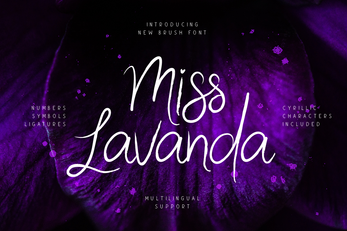 Miss Lavanda: A Brush Font Engineered for Visual Impact