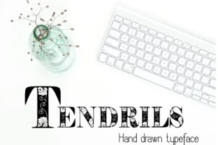 Tendrils: Evaluating The Tendrills Font by Eva Barabasne Olasz for Professional Design Work