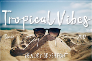 Tropical Vibes: A Hand-Painted Feminine Dry Brush Font for Invitations and Branding